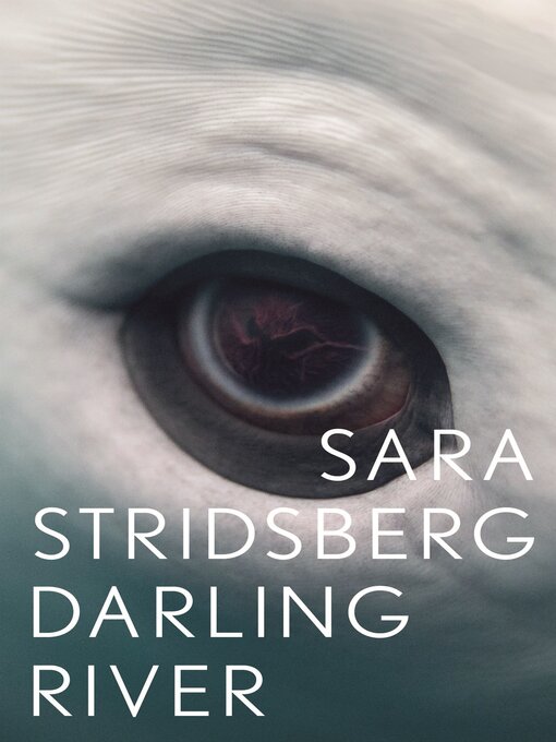 Title details for Darling River by Sara Stridsberg - Available